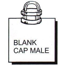 Blank Cap Male