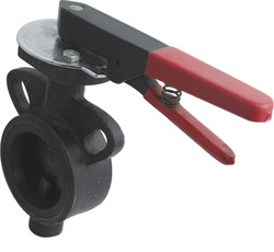 Lifeguard Butterfly Valve