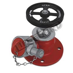 Lifeguard Stainless Steel Landing Valve