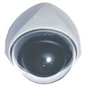 Dome Cameras