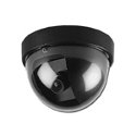 Dome Cameras