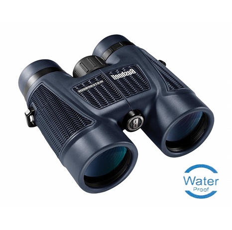 Binocular H2O