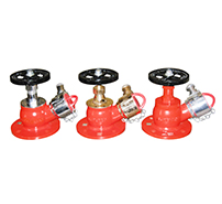 Single Outlet Landing Valve