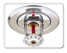 Fire Fighting Sprinkler